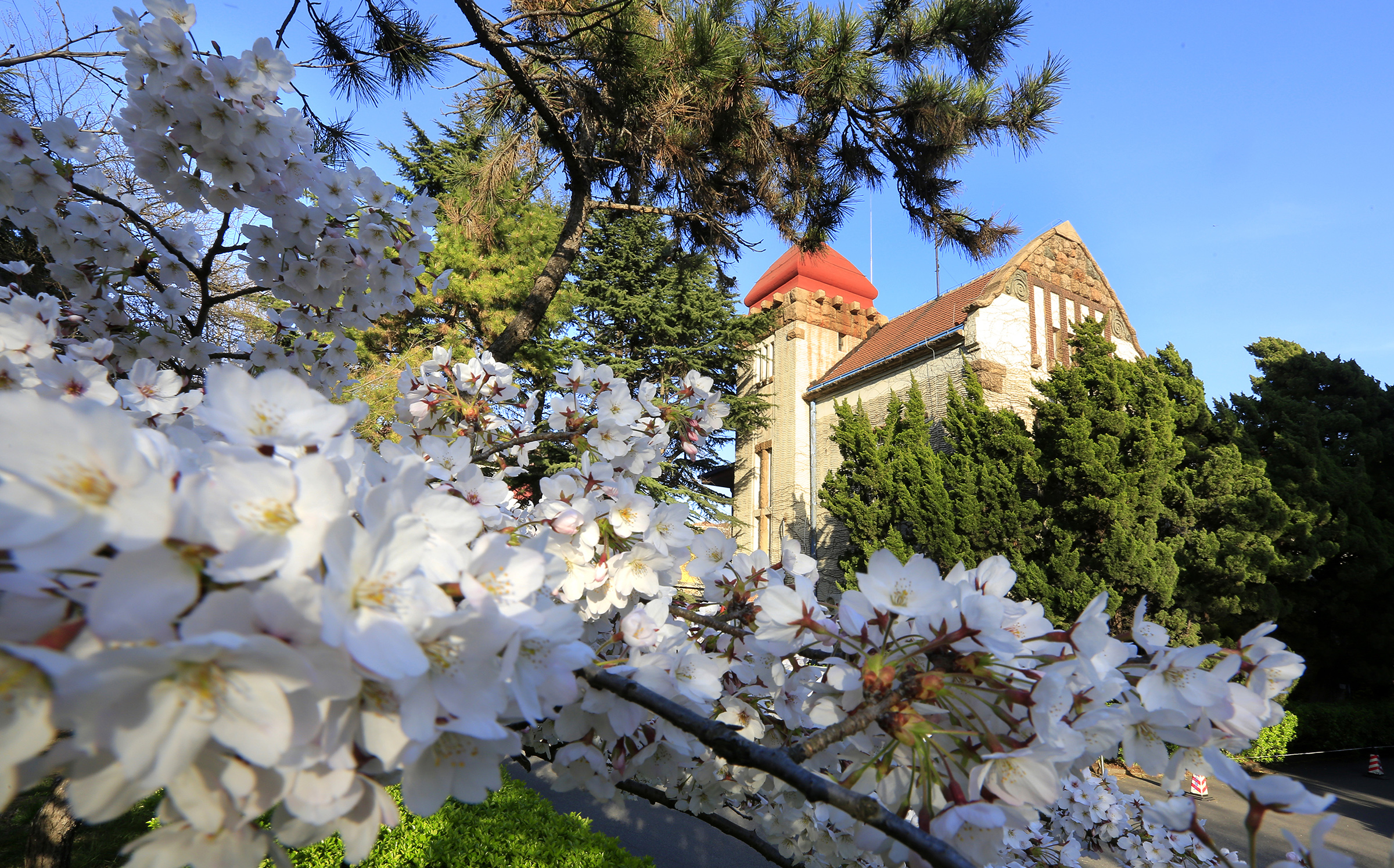 Ocean University